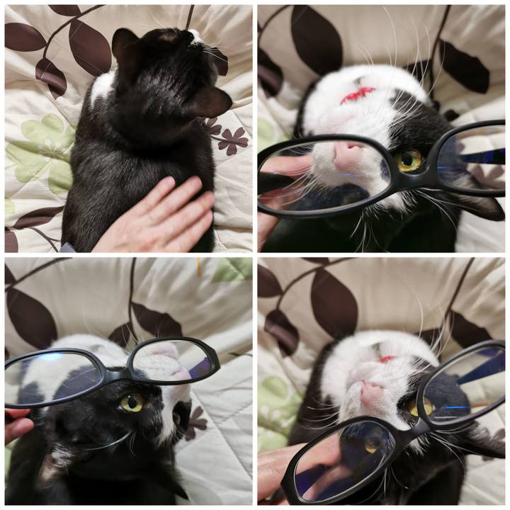 84198394 5682 435d 9fa0 75fce9ac759e 1678422255492