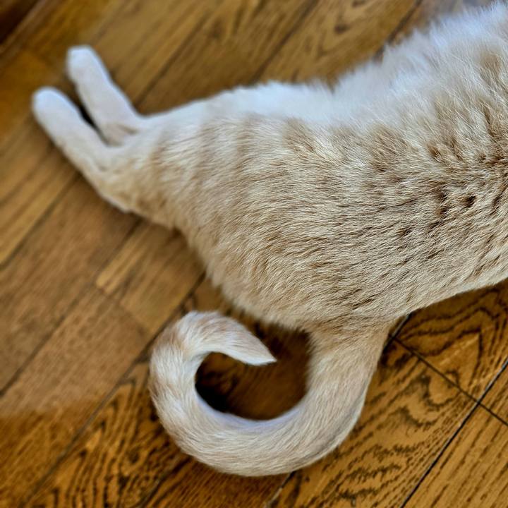 84198ea5 4043 44e2 bbba cd8c7621d691 1695781303847