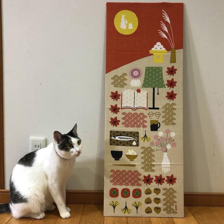 841990b5 19b4 4b8b be6f 8d84df2f17fe 1632228569456