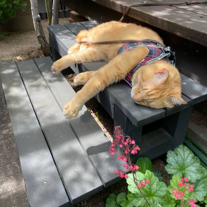 8419a1ba 4225 4c15 8546 28a79f81e592 1652242633901