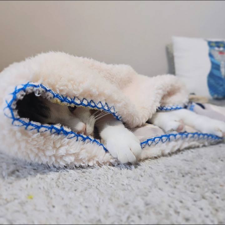 841a04fe bfb8 4355 9f8c b86be1782638 1765427415530