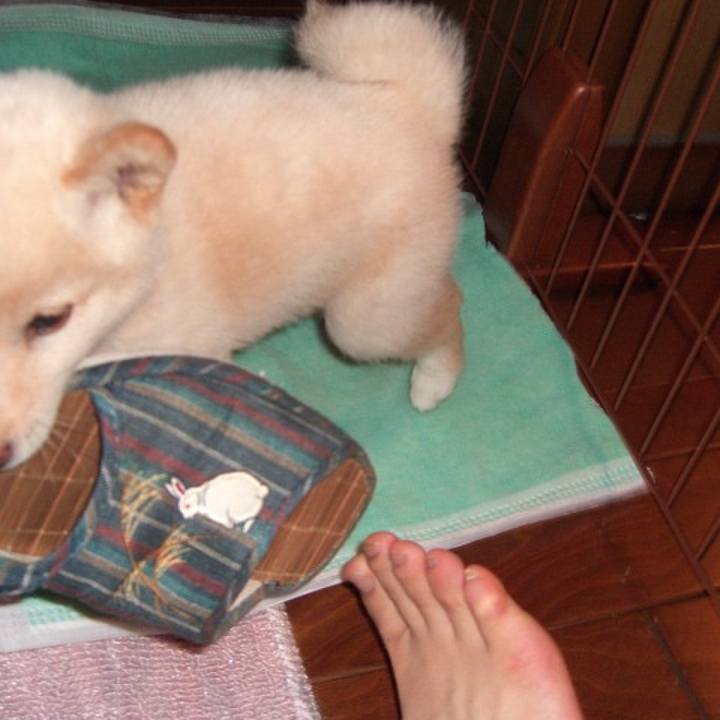 841a0824 101a 4e40 af4b 9f141856219a 1637591791730