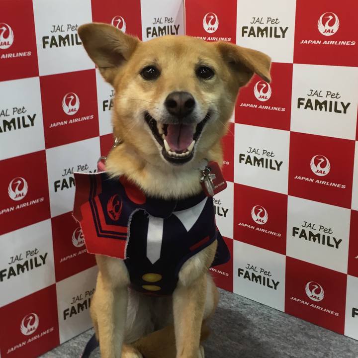 841a0d0e 47b9 4b4c b4c5 c553eb7d0746 1554023355691