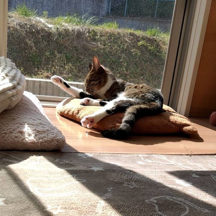 841a336e 03a2 4d9f 93b1 86aed8aa0254 1667956113062