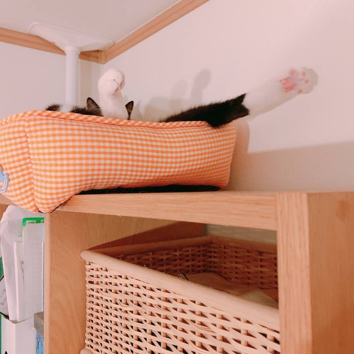 841a8ead 73cc 41e0 a846 5caf229f6e78 1559573449418