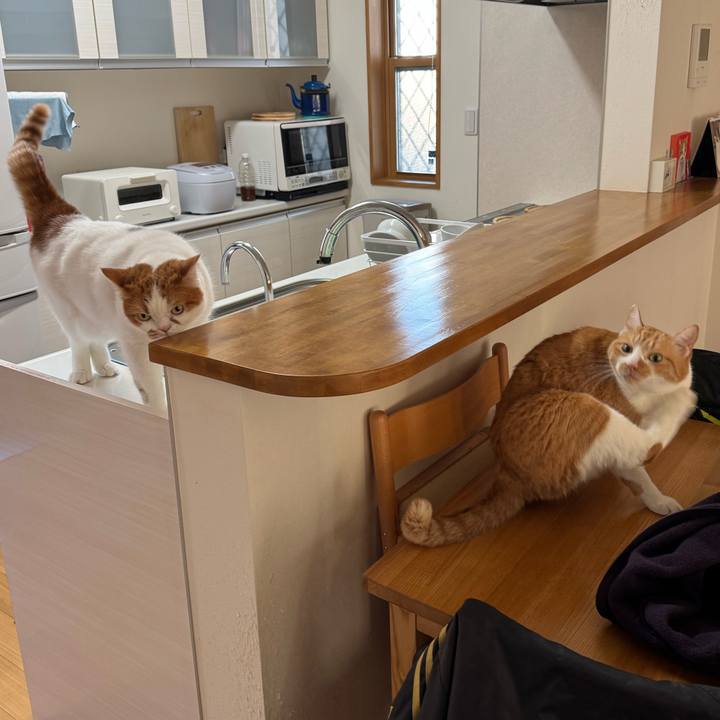 841a9134 13ce 408e 8a7f 1b9913495aee 1769230061326