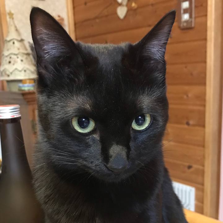 841a9692 ebbe 466a a6c0 3c466f9ec4f7 1585388222124