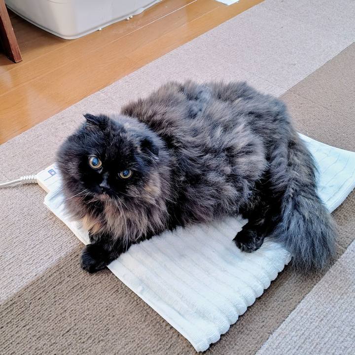 841adc8a 7bb8 4a31 8f86 5952ea5d376c 1770248094817