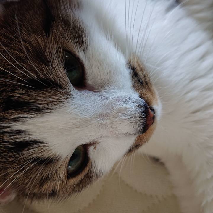 841ae7b4 b92a 49b0 95fc ac38fed6c179 1598855847917