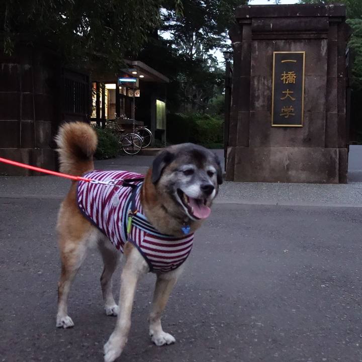 841af199 a80d 4697 85db 2e177d07f699 1531307169785