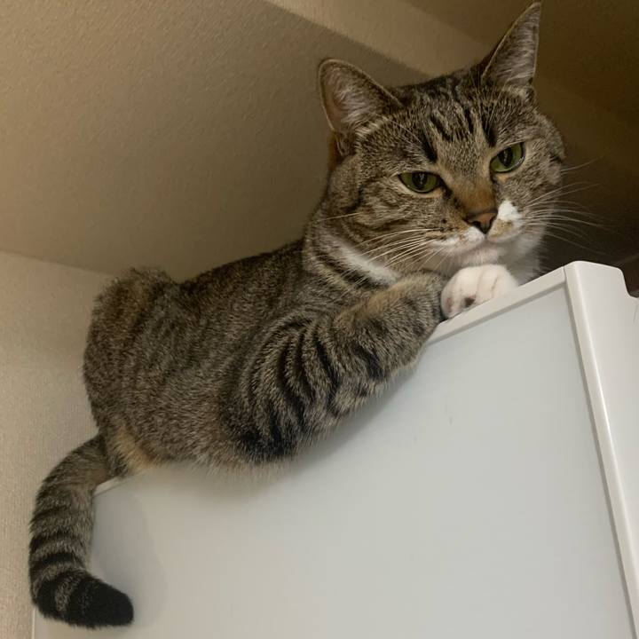 841b5a1a 1ef7 47a3 9f82 33eddd3e460e 1663022723610