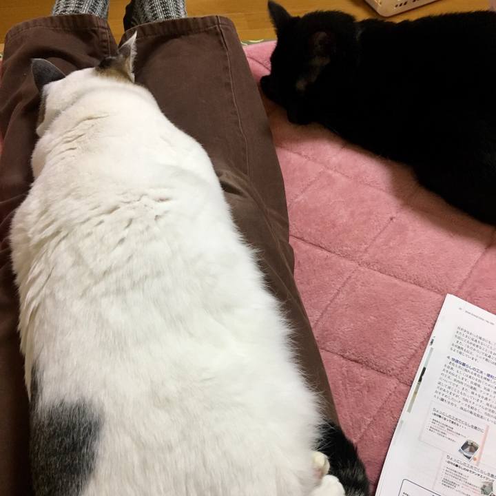 841b60db 26d9 41b8 8e42 19696d5f8632 1517745451347