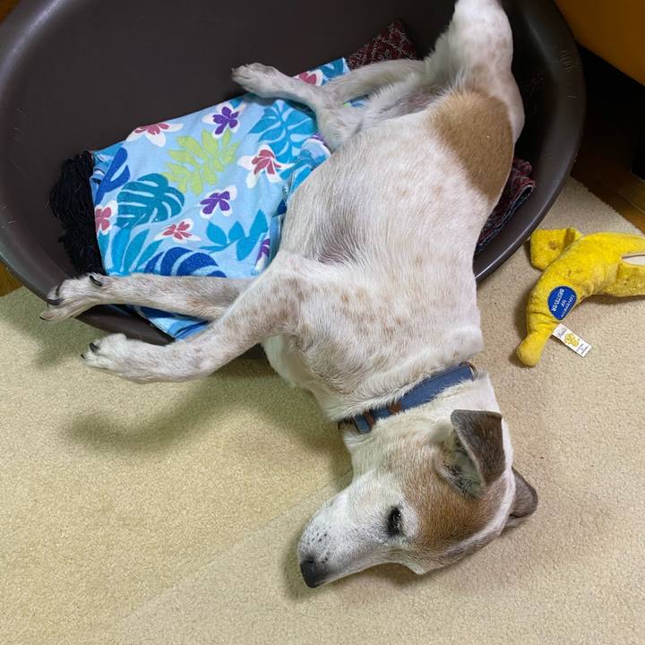 841b721a b6f5 431b b0d1 2faf4ec3027f 1620220987004