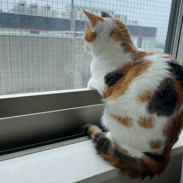 841b7b95 a0fa 4264 81ae a1ca8e898653 1655940799350