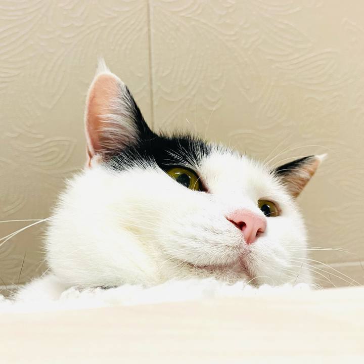 841b9118 24fc 4d5a 96d1 28be418fad19 1683416630777