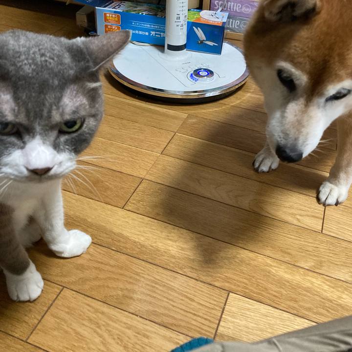 841babc4 07ae 4210 93db 7506acfca2ce 1722910783061