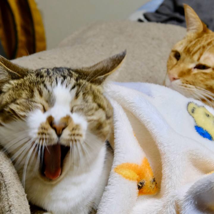 841bd774 8f2c 448a aa67 8b4645aa36f4 1707825400112