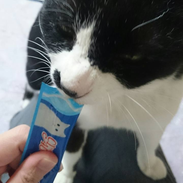 841be650 e269 4667 aefe 25cf4d1563b6 1521944561963