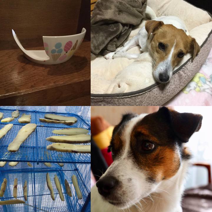 841c035a ffdb 45d4 9701 1e7ffba7eb0e 1542379063739