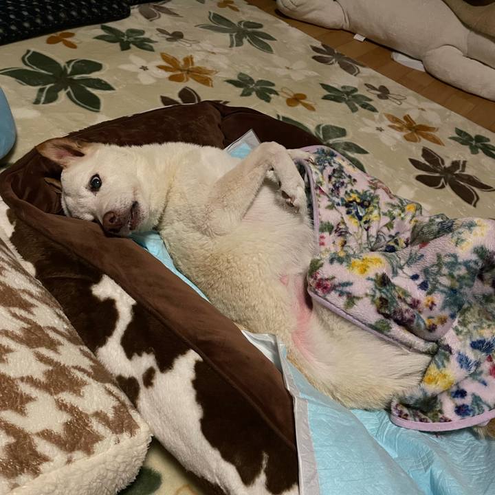 841c0ef5 1ac2 4f85 ac41 00e36494b1f0 1668804316913