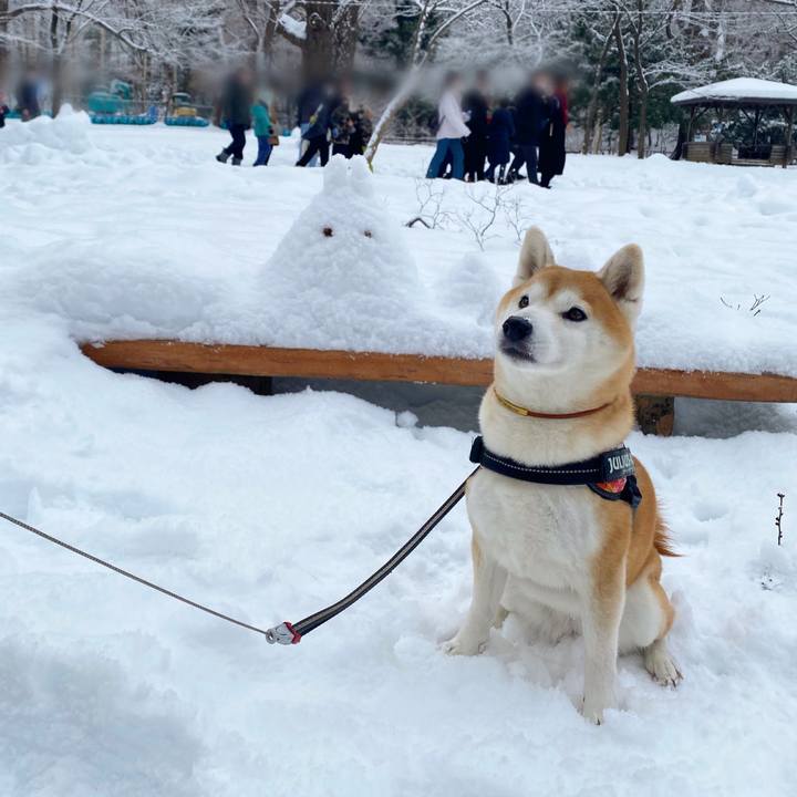 841c7dbc 6ca9 4385 91e4 a56157100431 1672542699478