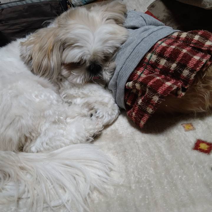 841c8d95 0f50 49bf 9273 70161fdc2369 1638260798923