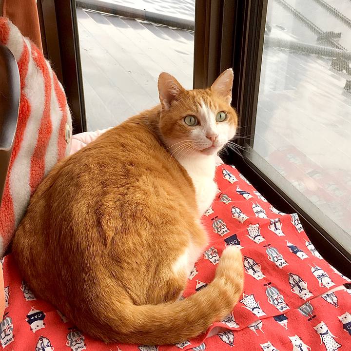 841cb622 7930 46be 8d2a a24b629180d5 1588753717692