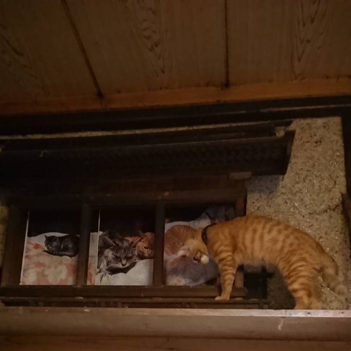 841cbe86 f169 45b8 9ade 764cda14375a 1636545904446