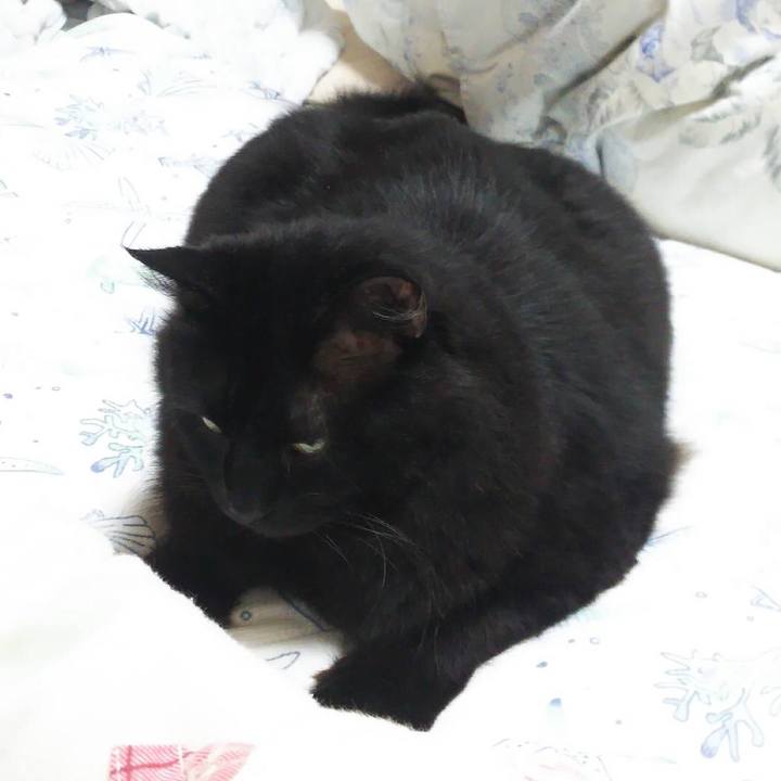 841cf5cc 23a0 4142 bf1c b9238e2c399d 1535452560571