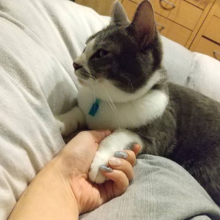 841cfeaf 3f53 41dc 988b 66c7f2a694b8 1639493035055