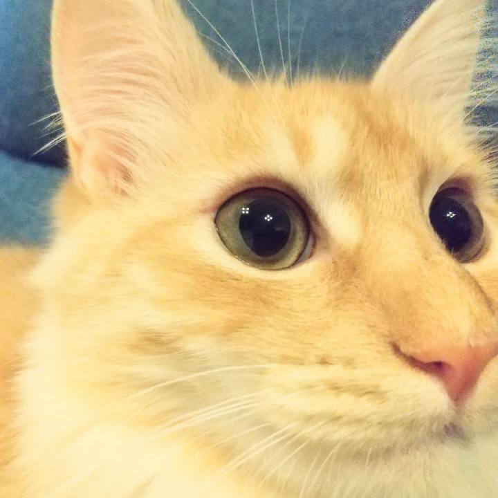 841d04c4 8829 457c bea6 ea774b2cec20 1618178036705