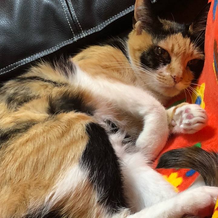 841d4241 50df 4472 a1df 50bf909597f9 1645835392445