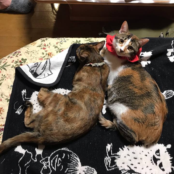 841d4e4e f983 4631 ab92 378e082214bc 1619529625543