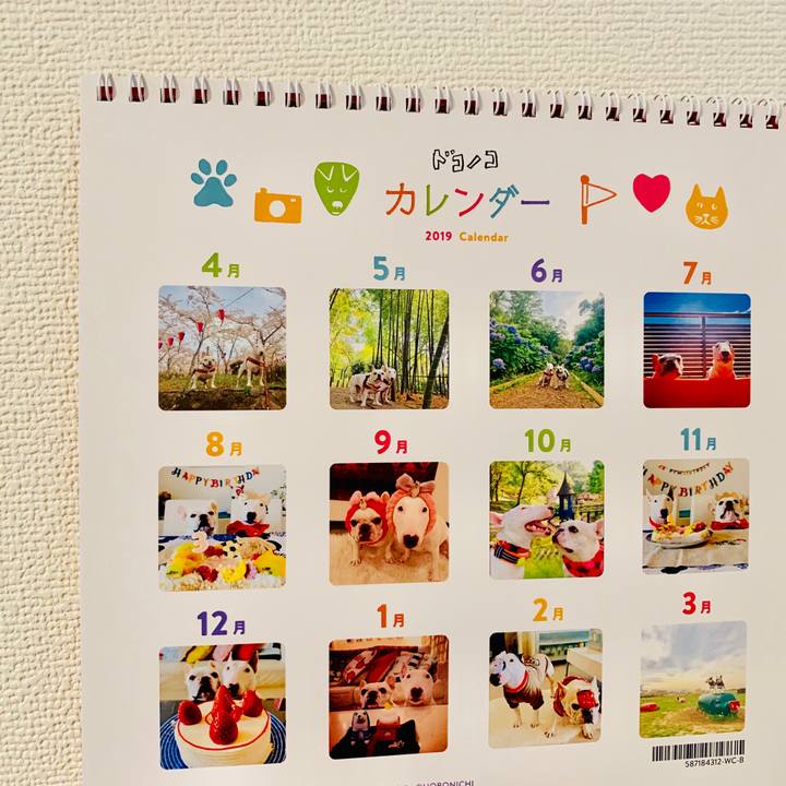 841d6c4e 6698 4c77 8d8b 42b0231c9b4d 1553742691632