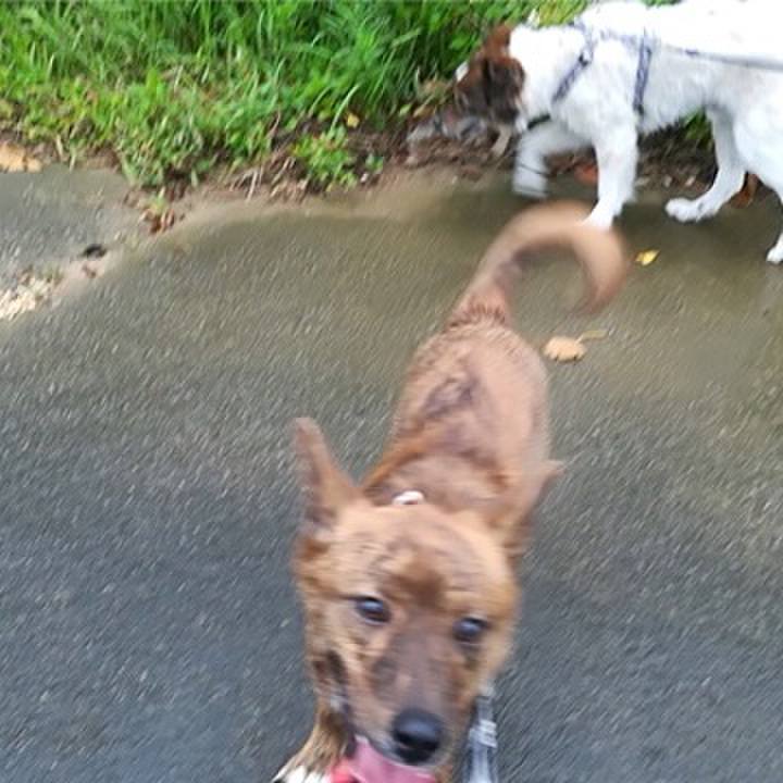 841d74f1 9869 4025 8687 935bc8c4c62a 1589625643093