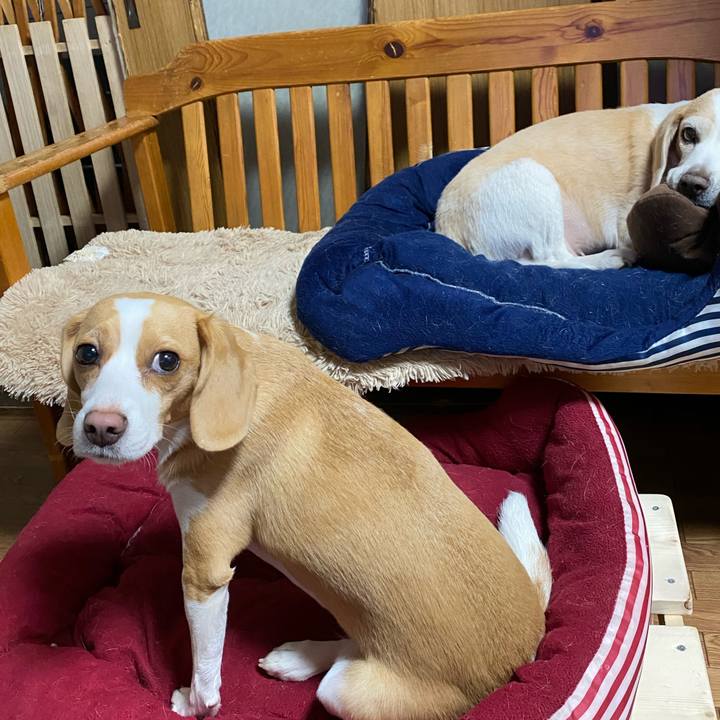 841d7680 65ca 4570 8921 82f4e61086f9 1589122913290