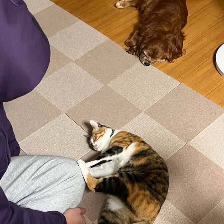 841d8c9f 70b5 4c12 bb18 f533b136e67d 1766452122047