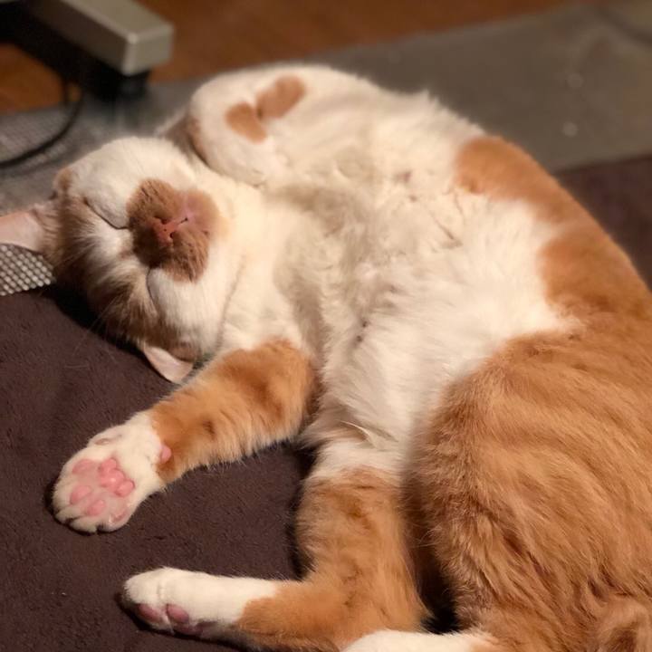 841d91e3 5534 4d04 841f b842e24b0cee 1515505063214