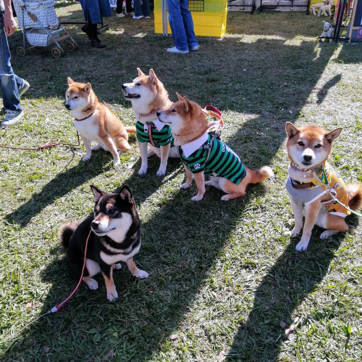 841dba71 7125 4b09 b165 5781731d2c26 1636808401634