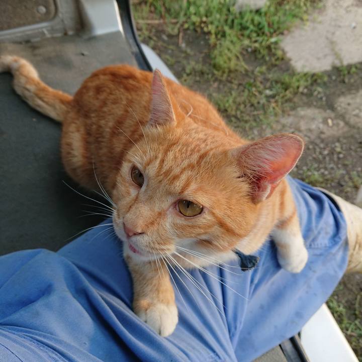 841dc28e 0bb7 4087 8ced 52a34fd9741a 1567286684925