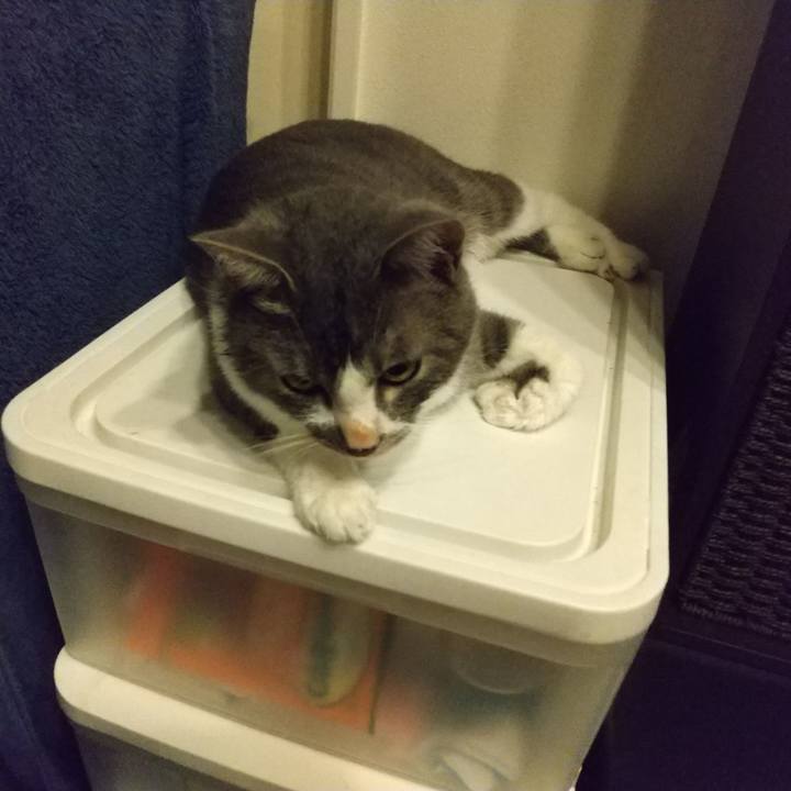 841dc776 c6a0 45f8 8125 1a8be4de0fa1 1599397293456