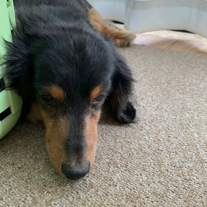 841e0959 79d9 4680 8838 bab3e7af94b5 1588567426843