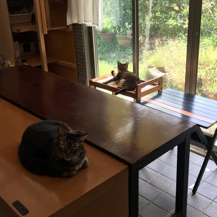 841e2e10 5d86 43cc aebc 1735d4432ac0 1602162624690