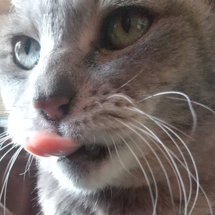 841e3297 c431 419d 87c9 0e2c832edfe9 1672538973129