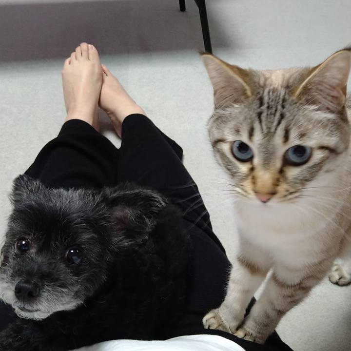 841e79bc a702 48e9 9c1a 78e964df774b 1652179093721