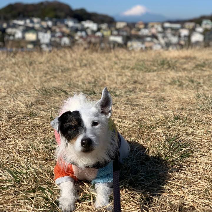 841e7a7f 97d1 4c57 9a5c 01ea7310f735 1740445763143