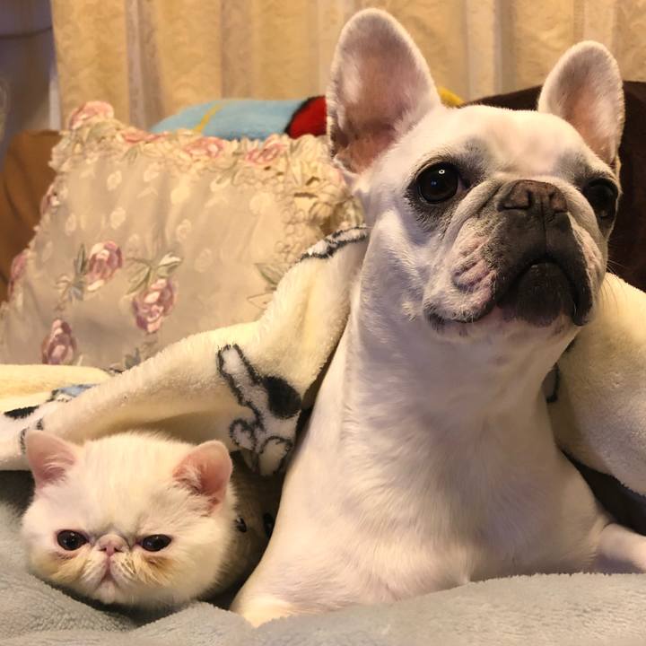 841e8891 0aea 435d aa6d 1f6b36ba9040 1546076734813