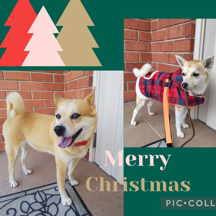 841e8ed8 5cfd 49b9 b1cd 580caafb0078 1766632102653