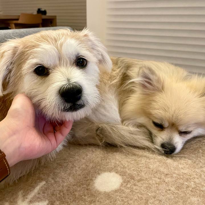 841ea0da c74f 454e 8db0 43e4240f247e 1760877795540