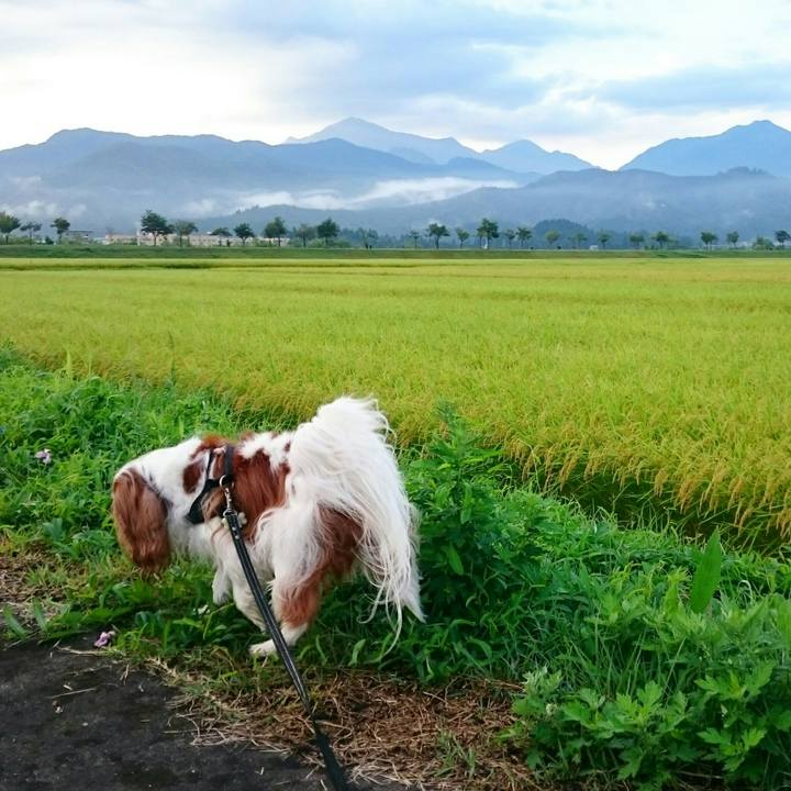 841ed32e 8561 4301 b488 8d121fbb5ef2 1535580371343